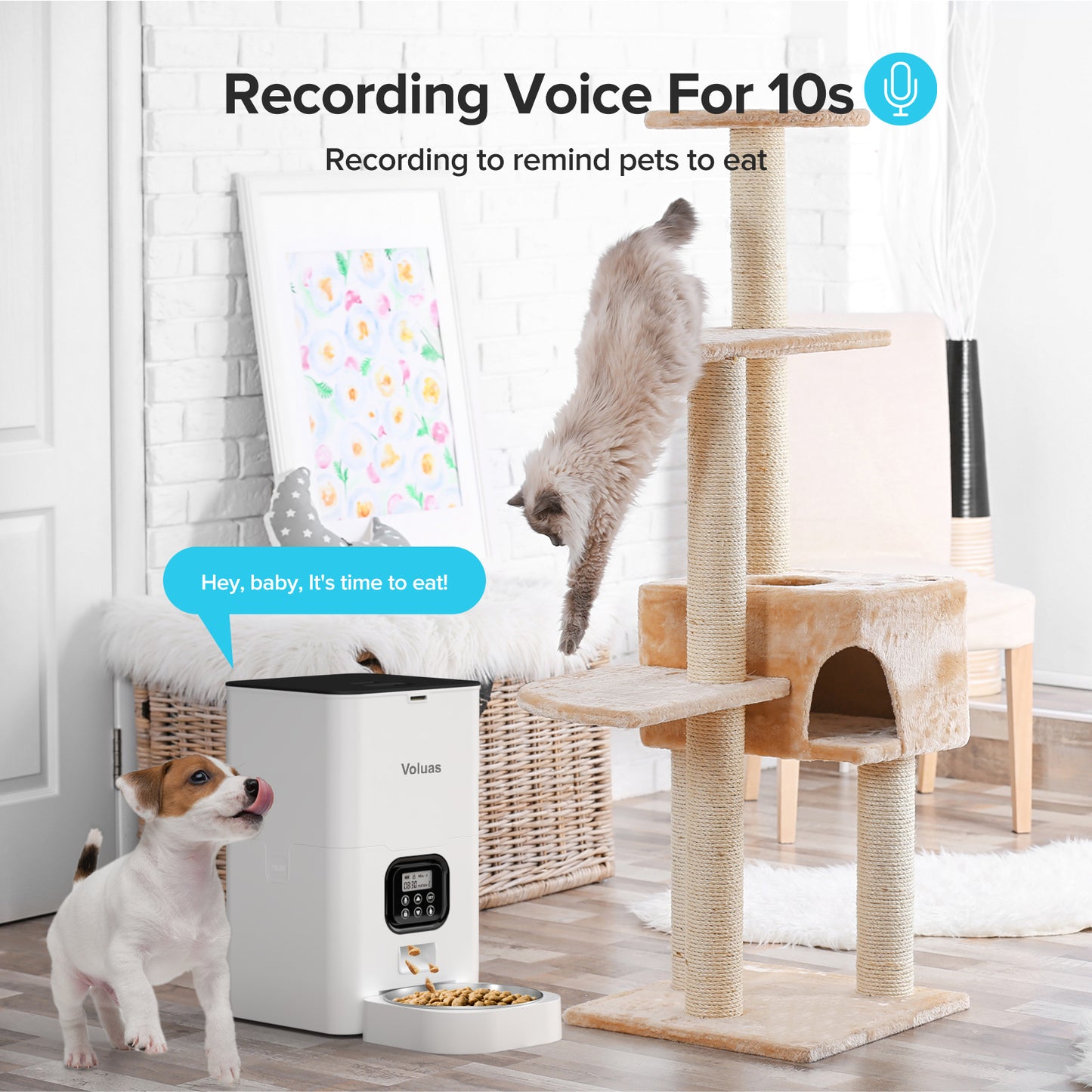 VOLUAS Automatic Cat Feeders, Pet Food Dispenser for Dry Food, Timed Cat Feeder with Desiccant Bag, Programmable Portion Size Control 4 Meals Per Day, 10s Voice Recorder