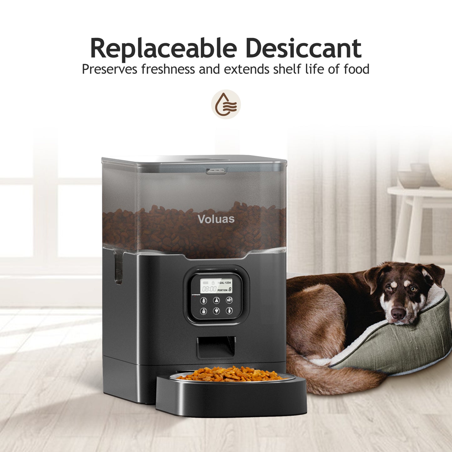 VOLUAS Cat Dry Food Dispenser with Timer, Automatic Cat Feeders with Desiccant Bag, Programmable Portion Size Control 4 Meals Per Day, 10s Voice Recorder