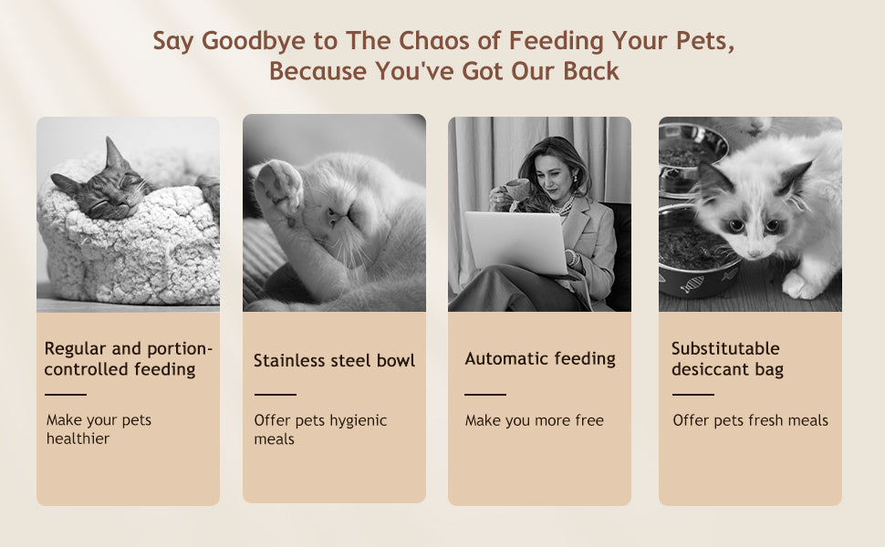 VOLUAS Cat Dry Food Dispenser with Timer, Automatic Cat Feeders with Desiccant Bag, Programmable Portion Size Control 4 Meals Per Day, 10s Voice Recorder