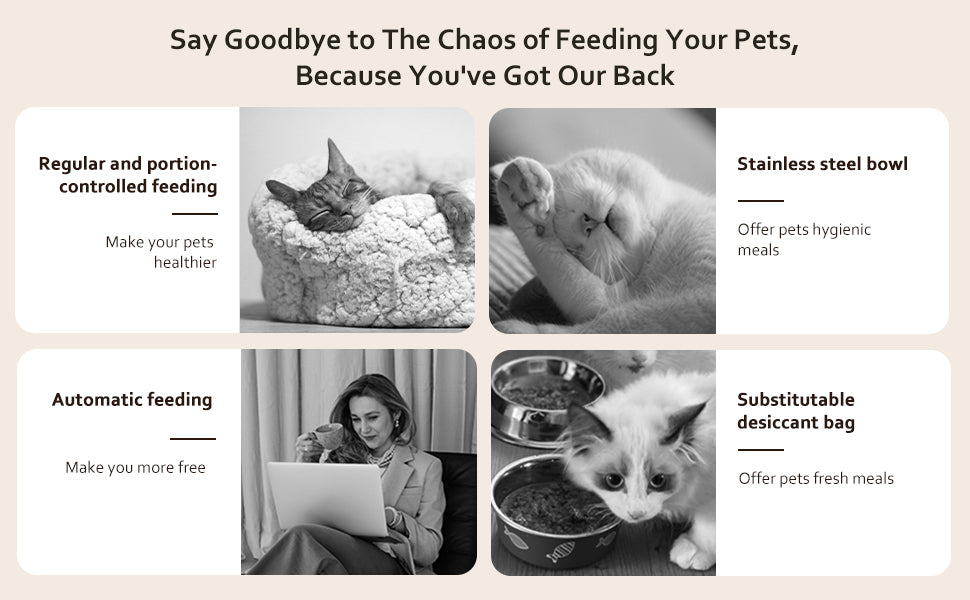 VOLUAS Cat Dry Food Dispenser with Timer, Automatic Cat Feeders with Desiccant Bag, Programmable Portion Size Control 4 Meals Per Day, 10s Voice Recorder