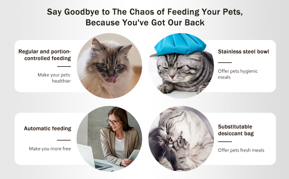 Voluas Automatic Cat Feeders for Two Cats, Double Pet Feeder with 2 Stainless Steel Bowls,6L Timed Cat Feeder with Memory Function, Pet Food Dish