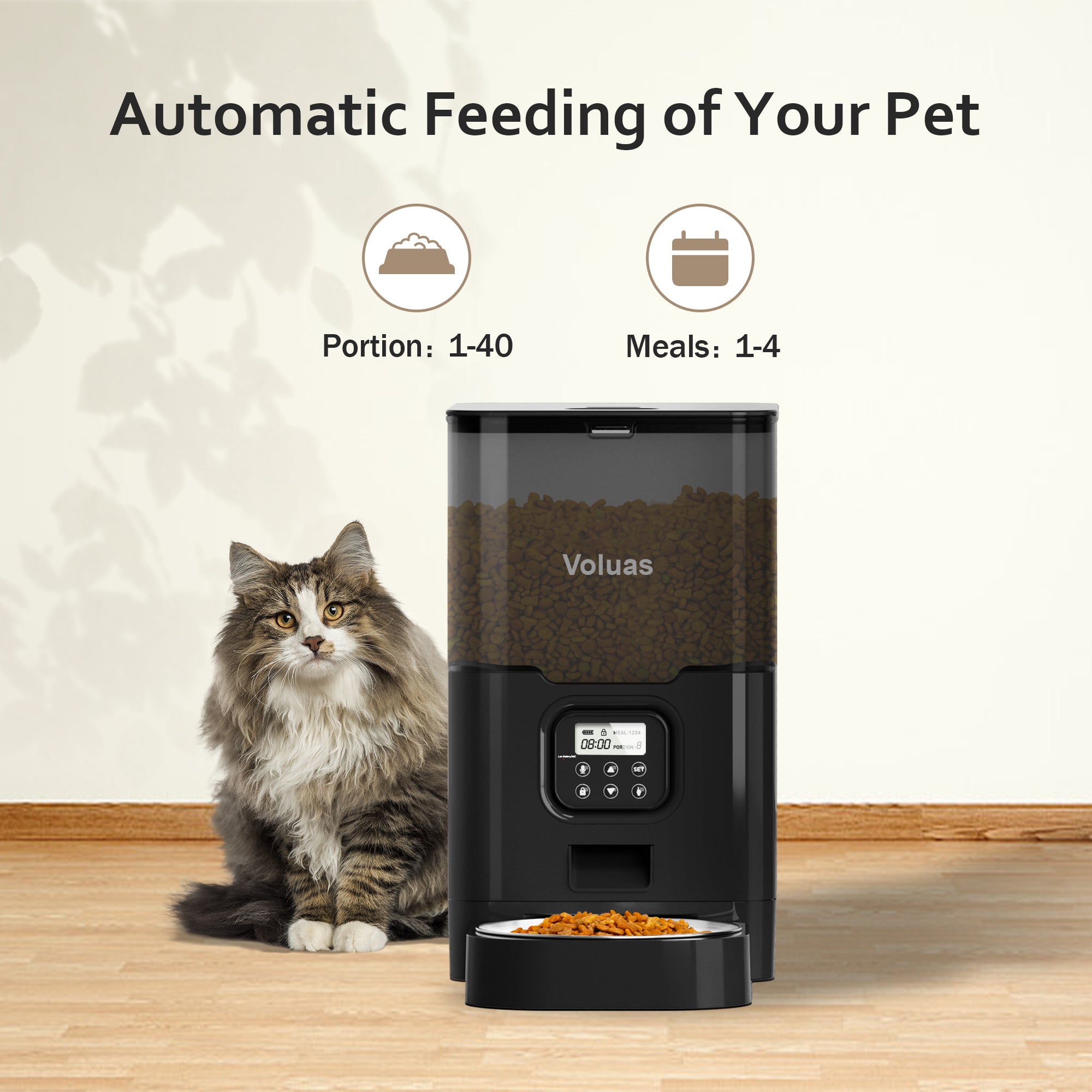 Cat food outlet timer