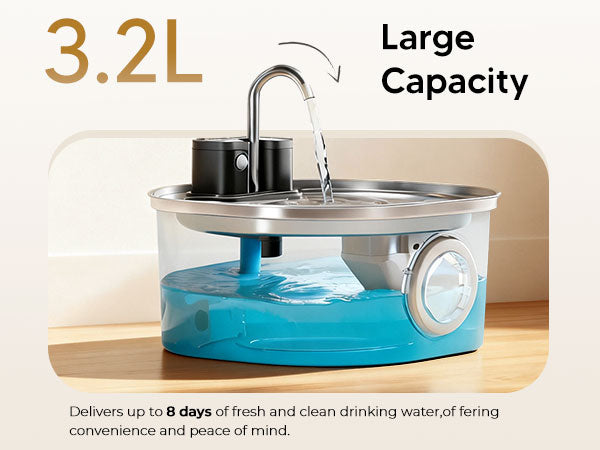 A closer look at Cat Feeder Online Shopping