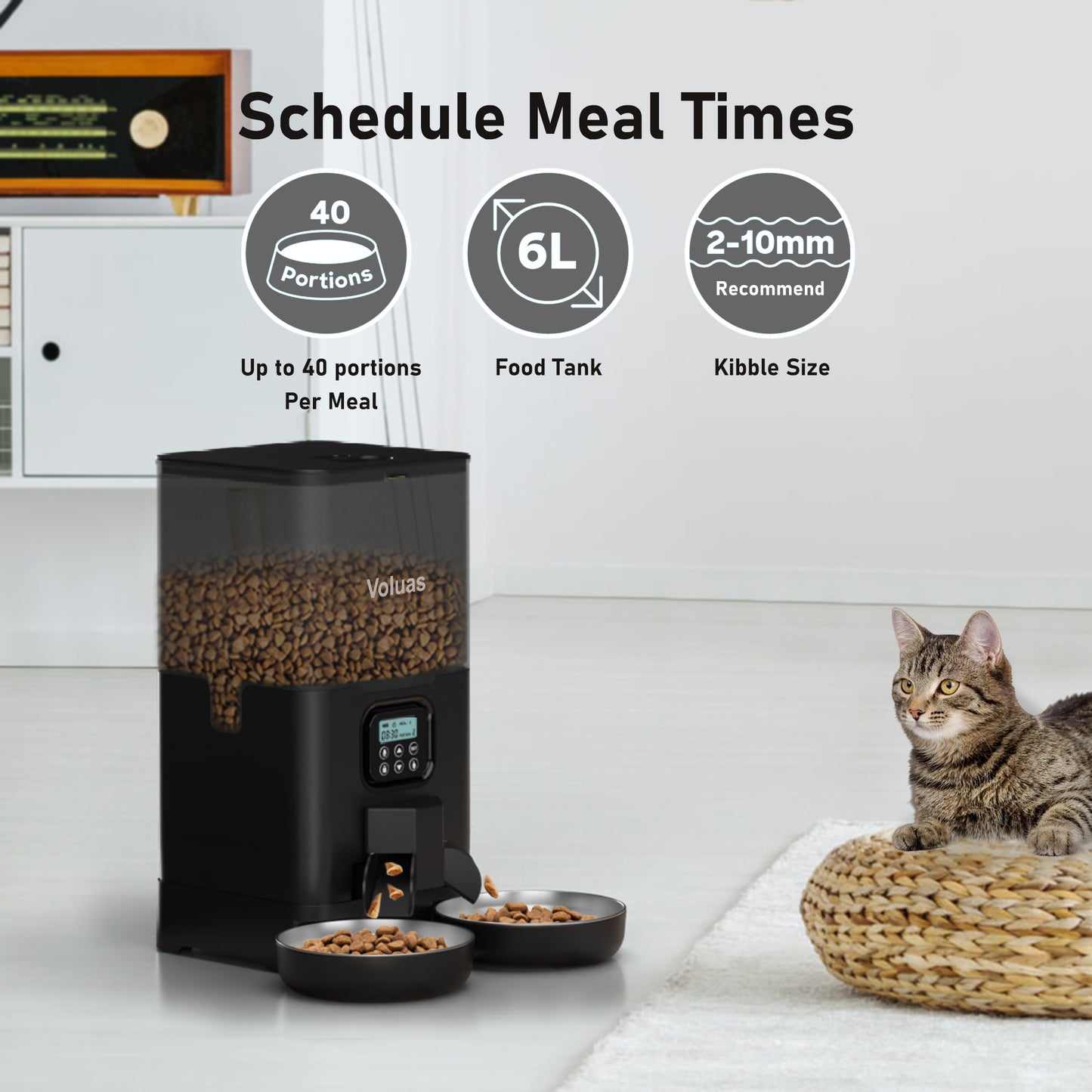 Voluas Automatic Cat eeders for Two Cats, Double Pet Feeder with 2 StainessSsteelBowls,6L Tined Cat Feeder with Memory Function,PetFood Dst