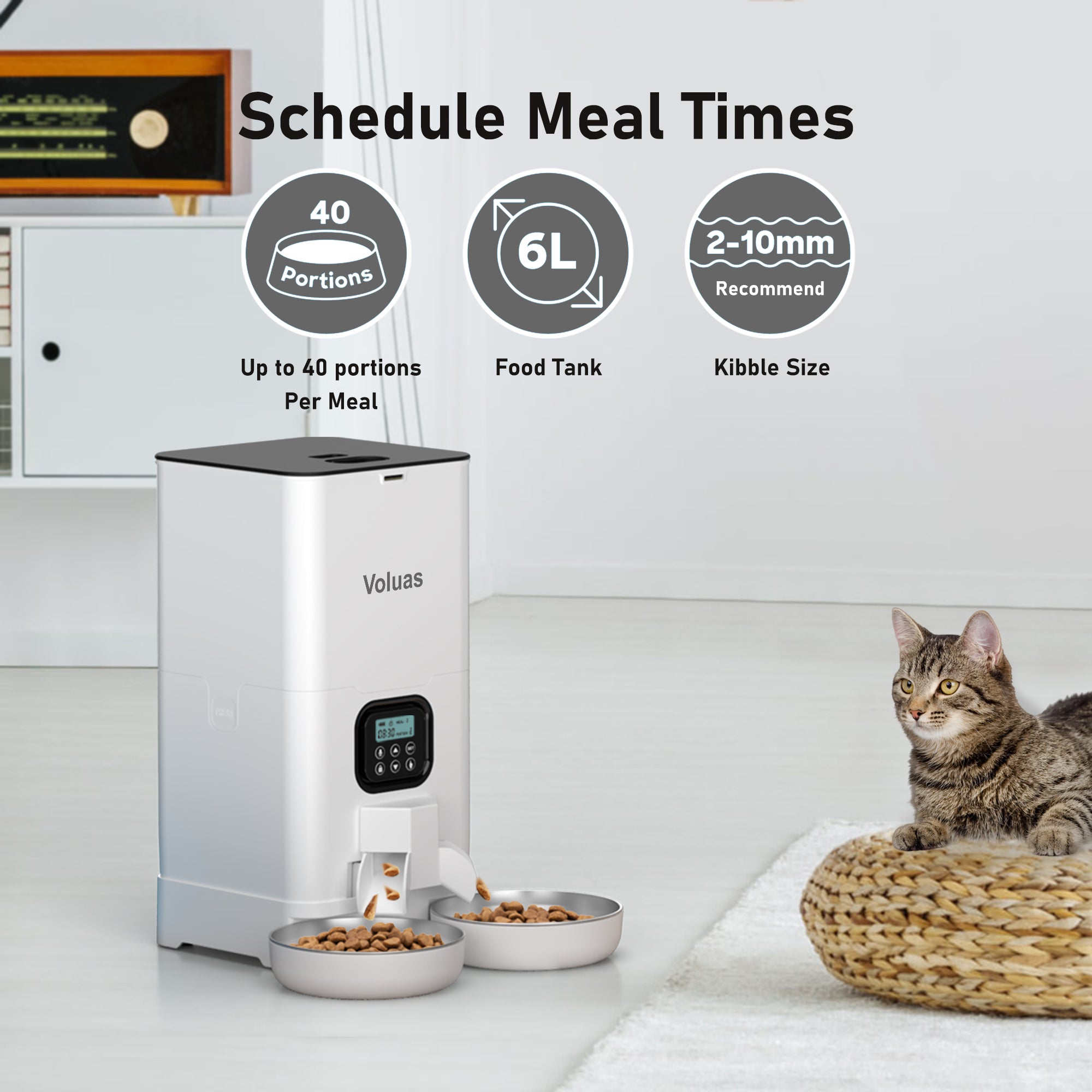 Times hotsell cat feeder