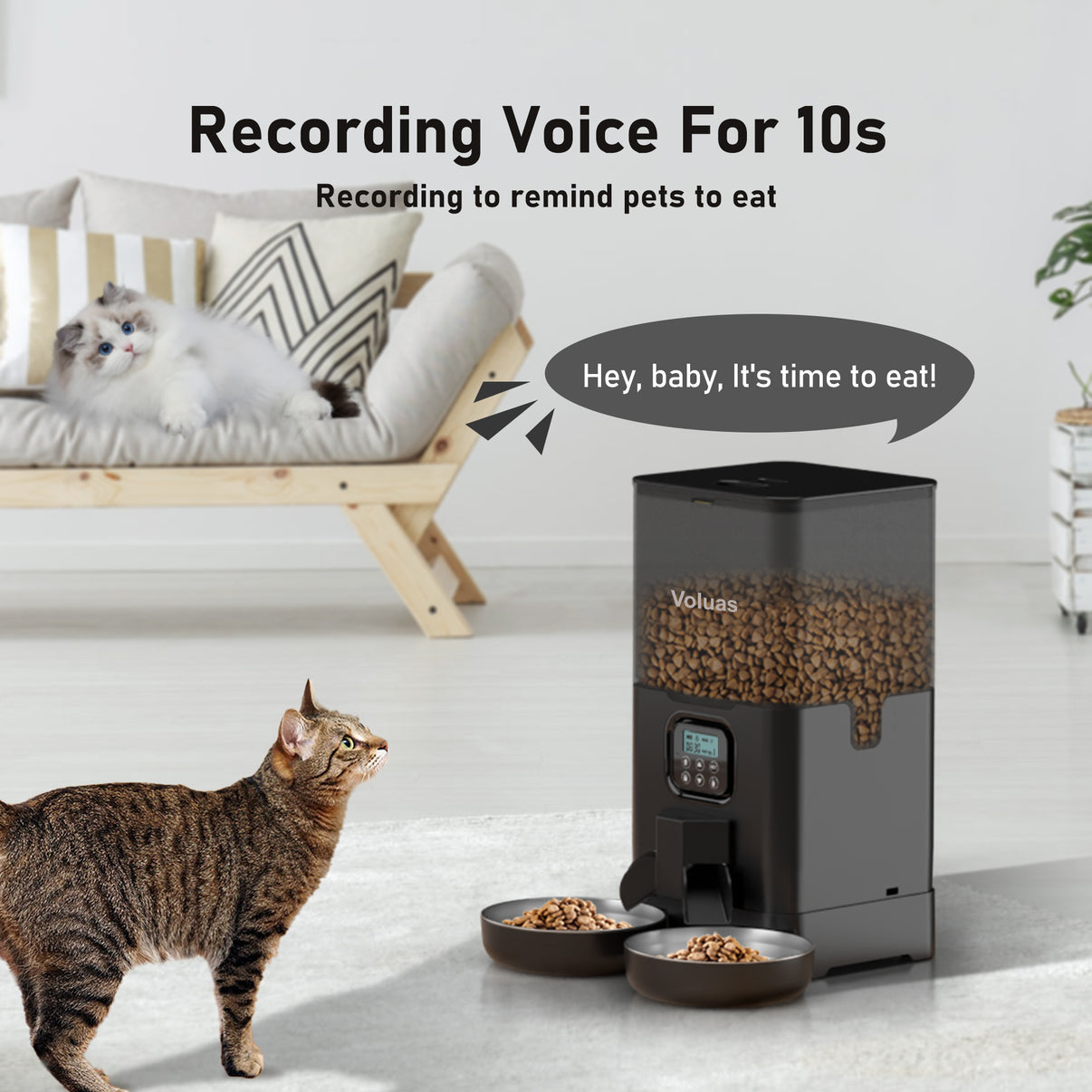 Voluas Automatic Cat eeders for Two Cats, Double Pet Feeder with 2 Sta