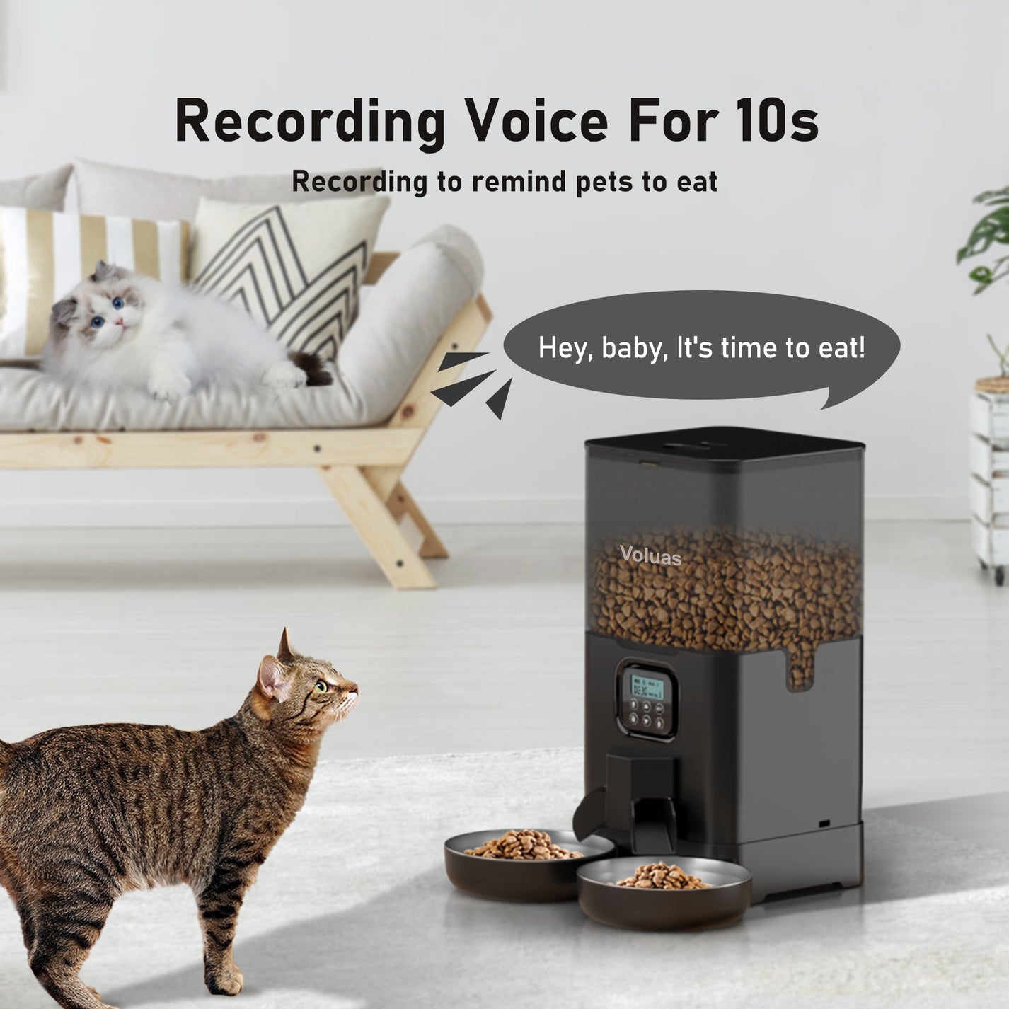 Voluas Automatic Cat eeders for Two Cats, Double Pet Feeder with 2 Sta