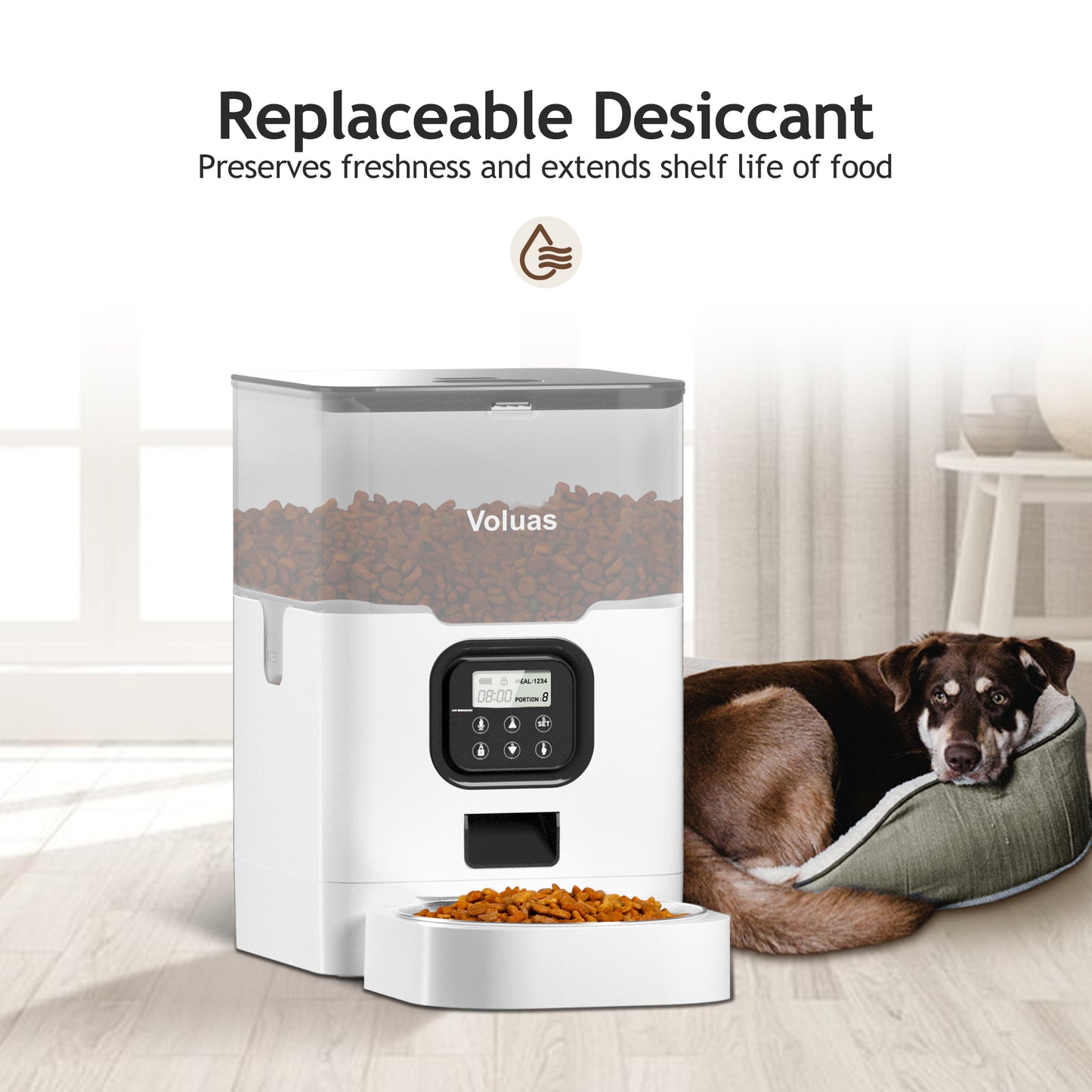 VOLUAS Cat Dry Food Dispenser with Timer, Automatic Cat Feeders with Desiccant Bag, Programmable Portion Size Control 4 Meals Per Day, 10s Voice Recorder