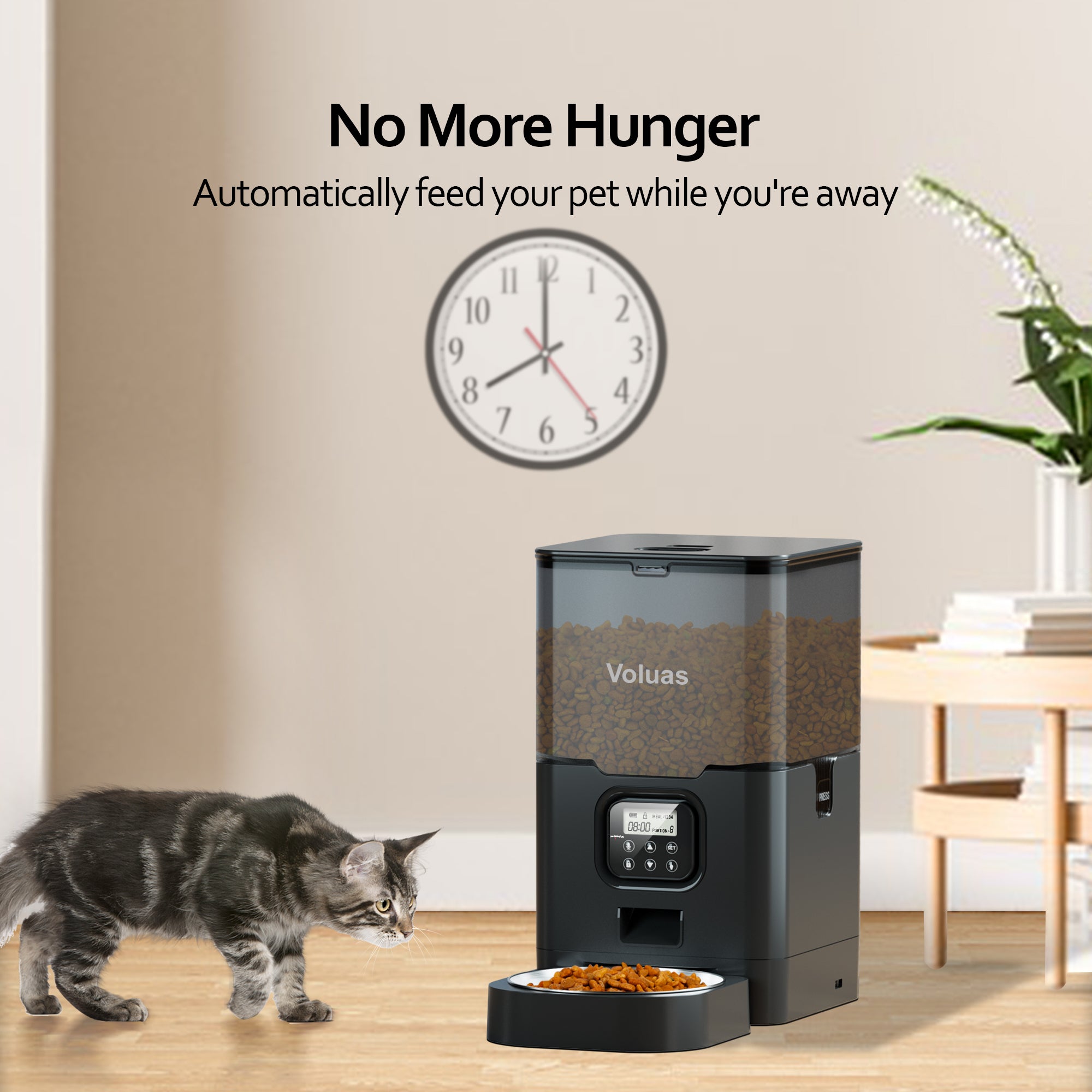 Cat feeder timer 2024 pets at home