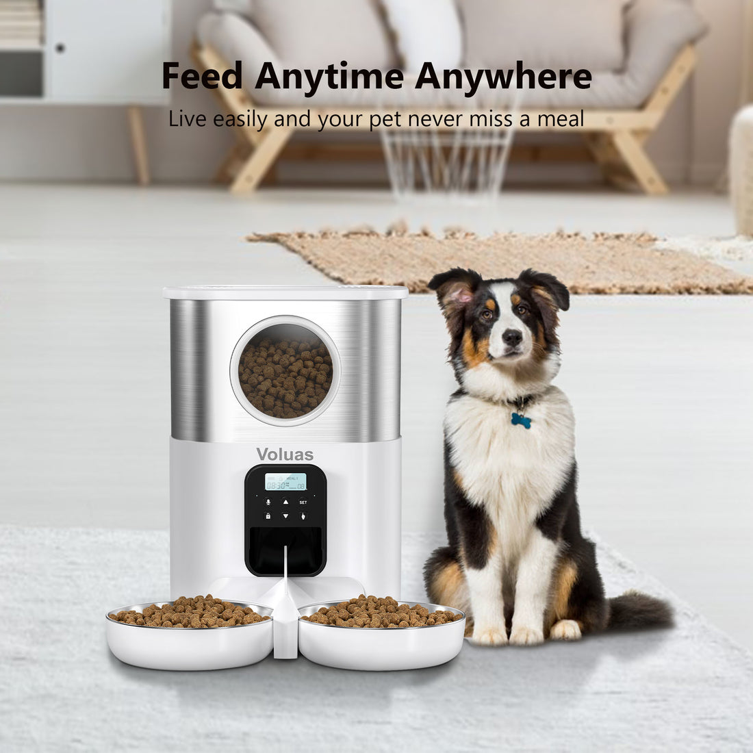 VOLUAS Automatic Cat Feeders for Two Cats, Pet Feeder for Cats and Dog