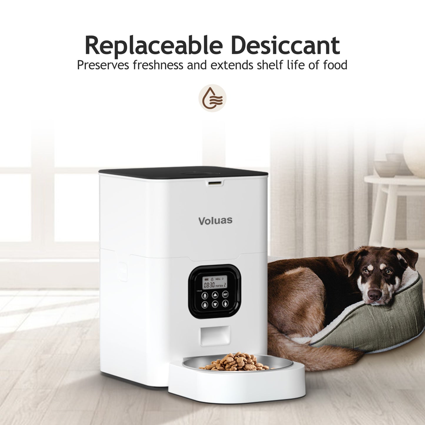 VOLUAS Automatic Pet Feeders for Cats and Dogs