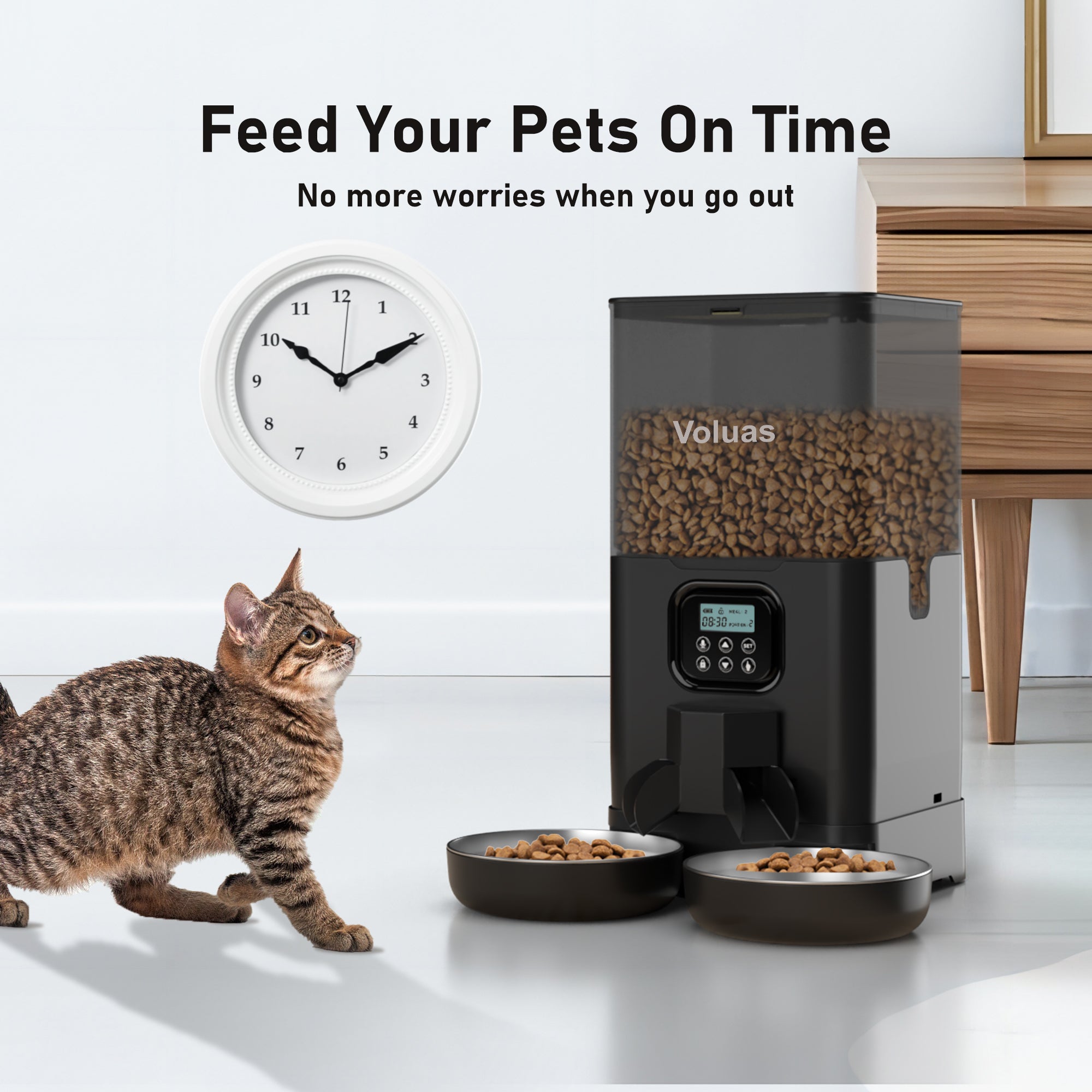 Automatic cat feeder for 3 cats sale