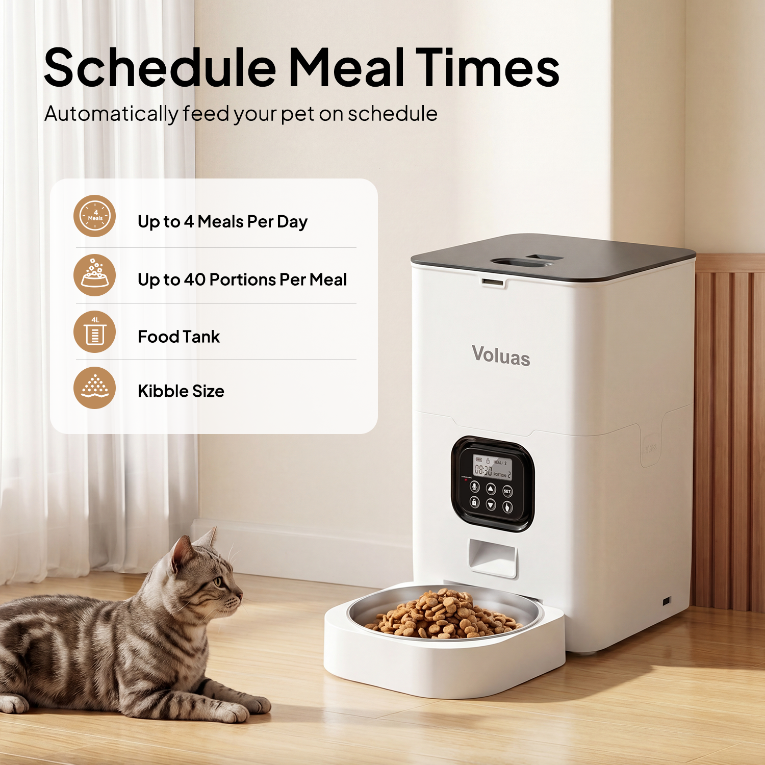 Portion Sizes and Timing: Best Practices That Work