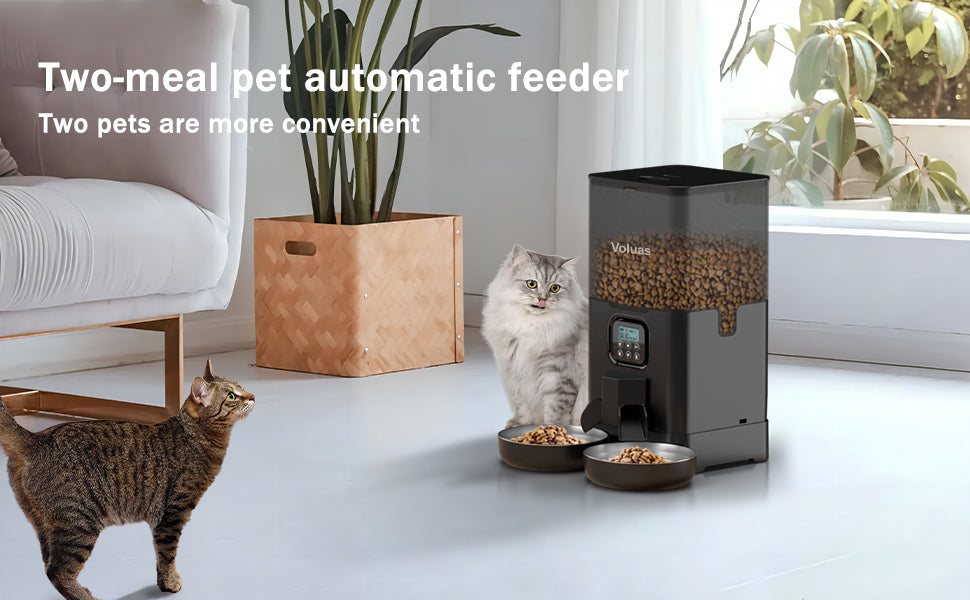Voluas Automatic Cat eeders for Two Cats, Double Pet Feeder with 2 StainessSsteelBowls,6L Tined Cat Feeder with Memory Function,PetFood Dst