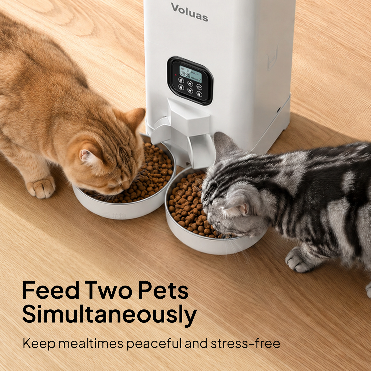 VOLUAS Smart 2 Pets Feeder + Stainless Steel Wireless Water Fountain