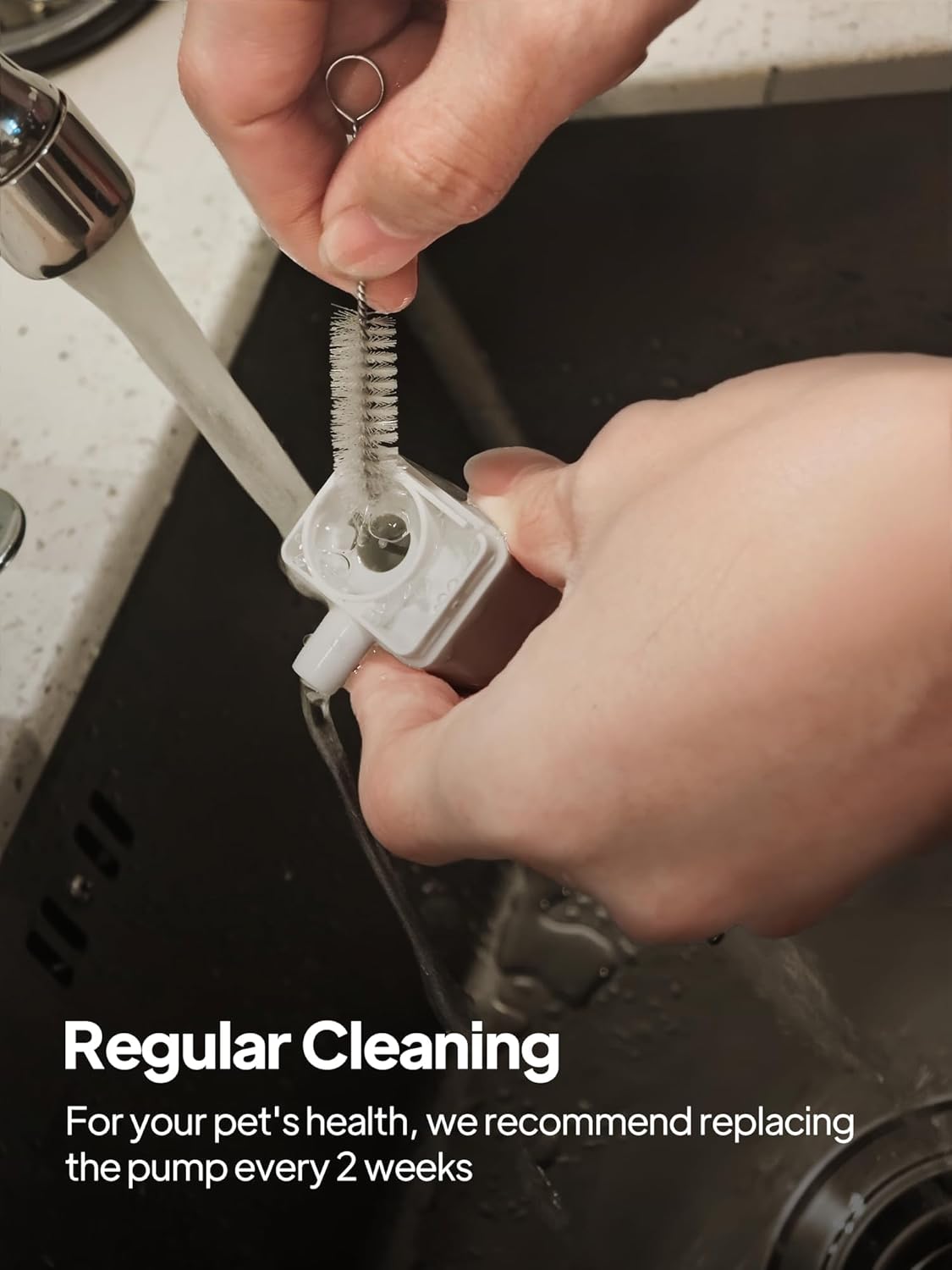 VOLUAS Water Fountain Pump