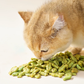 Voluas Cat Biscuits, Small Fish Biscuits, Cat Teeth Cleaning, Pet Snacks