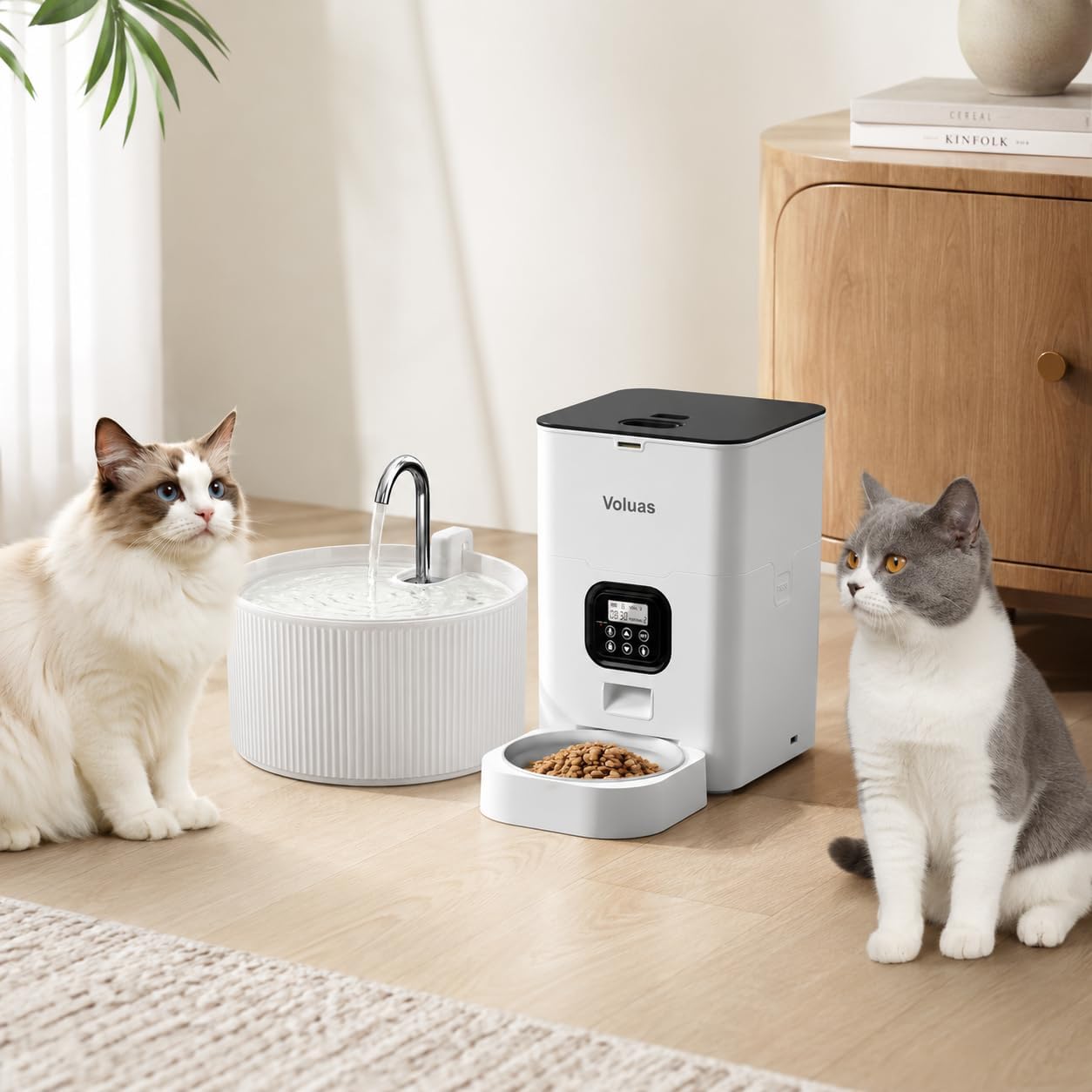 VOLUAS Automatic Feeder 4L + Ceramic Cat Water Fountain