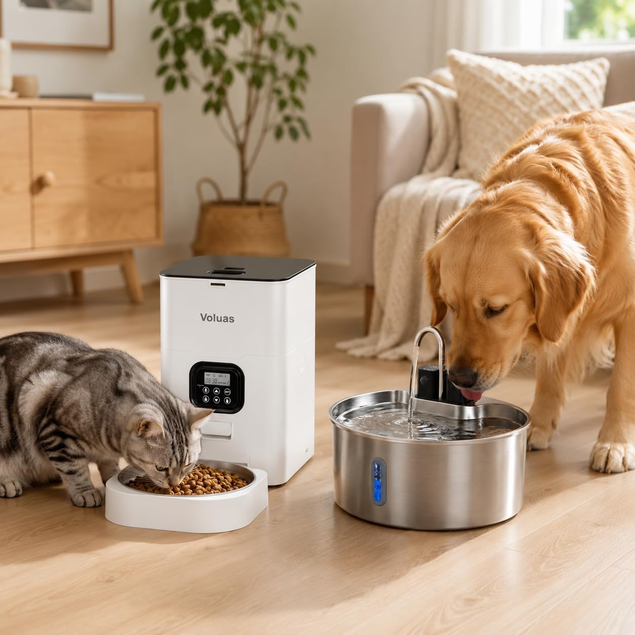 VOLUAS Automatic Feeder 4L + Wireless Large Dogs Water Fountain