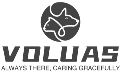 Voluas